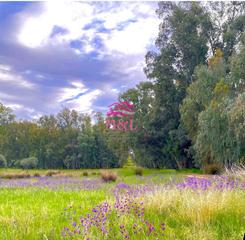 Terreny residencial en Oeste. Mridaterreno