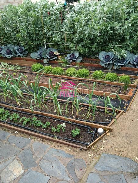 Foto af717fed-3b7f-428f-9736-943dbf0ad9a4. Casa con riscaldamento parcheggio piscina in Este Mérida