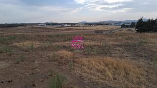 Masia en Este. Mridafinca rustica