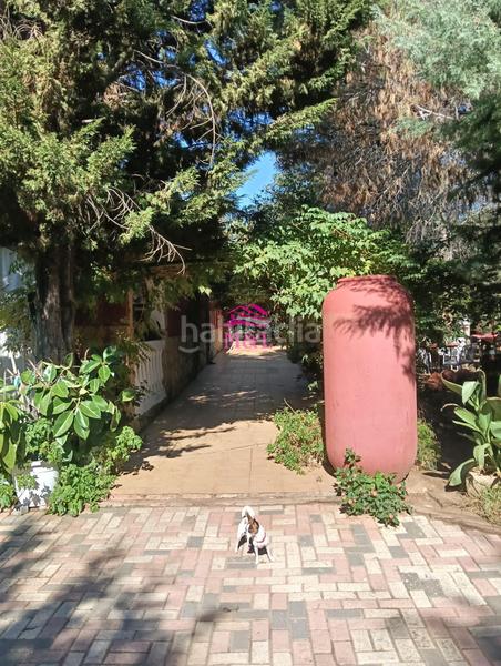 Foto 264039cc-eed2-46b7-a10e-ea717facab1c. Masia a Sur Mérida