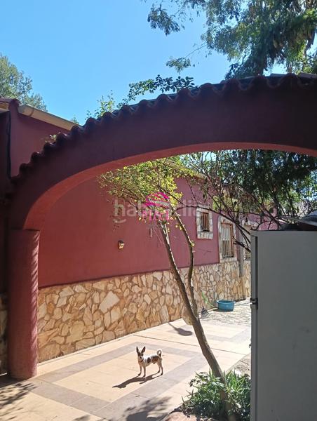 Foto 29d86103-c0c2-4758-bdeb-1f33f5e90af8. Masia a Sur Mérida