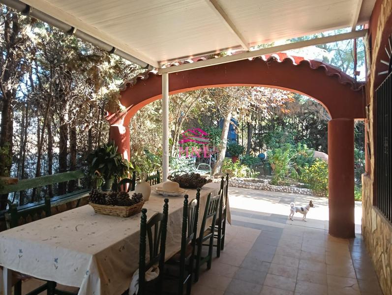 Foto 2de0900c-b768-49b2-be03-f20a4aaa265d. Masia a Sur Mérida