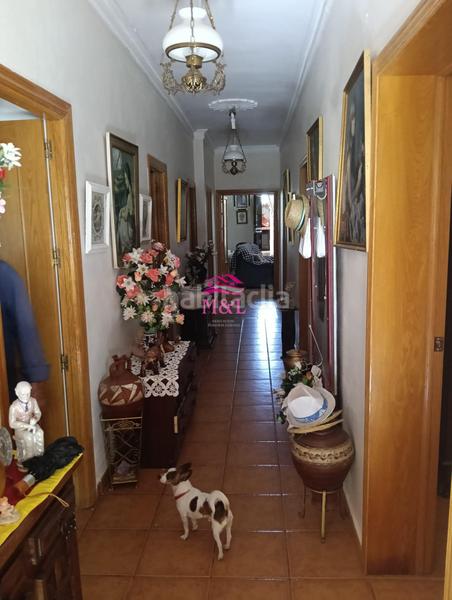 Foto 3443adf3-21a7-479f-bebb-286787efc10c. Masia a Sur Mérida