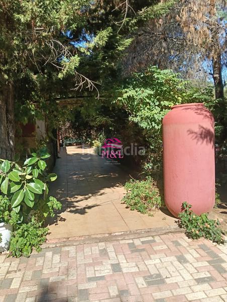 Foto 3cdae566-cff7-4a46-87e4-24a890eb812b. Masia a Sur Mérida