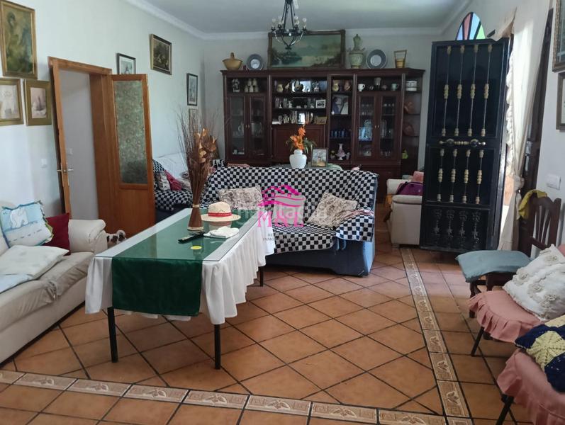 Foto 4abbe8d4-fa0b-48da-9ea8-94da2c27616d. Masia a Sur Mérida