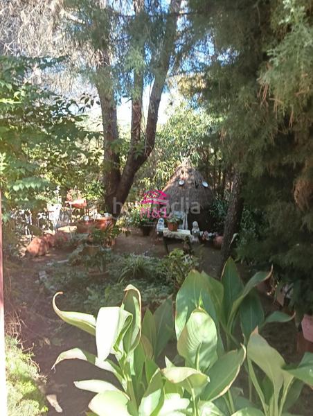 Foto df64535f-bd1b-43ee-aa76-32ea64058cb1. Masia a Sur Mérida