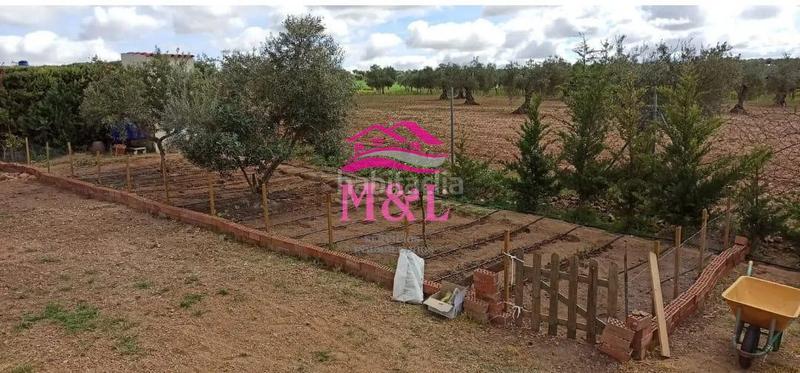 Foto 8102c044-e279-4ce9-8672-7a338302261b. Masia a Este Mérida