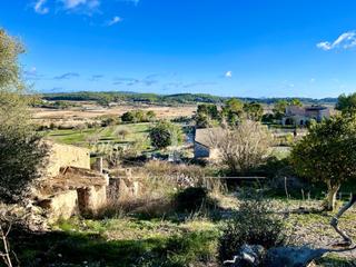 Masia  N/a. Casa con construcciones para reformar en gran terreno cerca de s