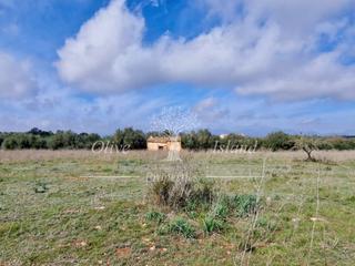 Residential Plot  N/a. Bonito terreno rústico con licencia para construir en el campo c