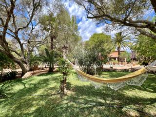 Masia  N/a. Finca rustica con gran potencial en santanyi