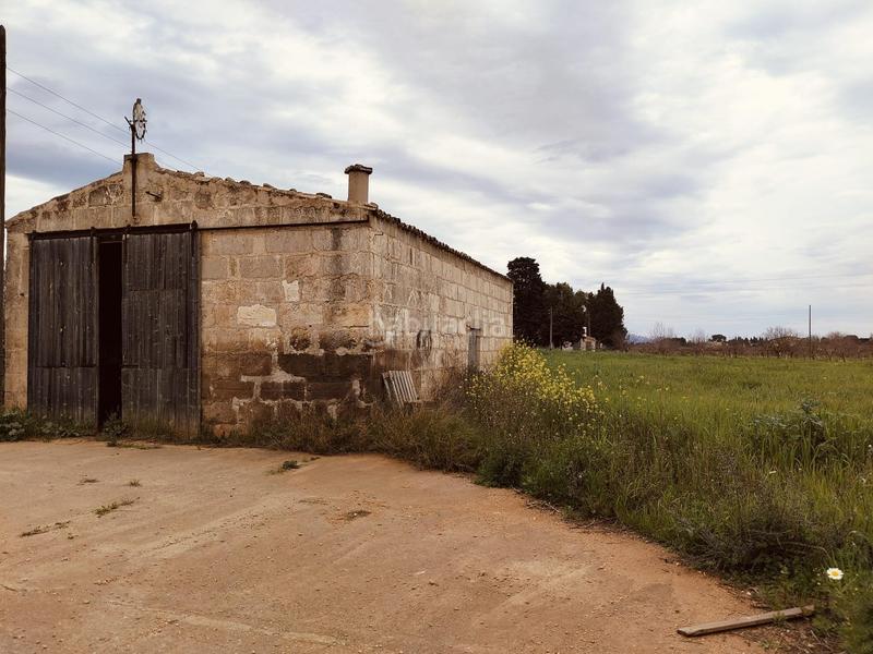 Foto 357a1f56-86e6-4a7a-955a-64000823d7f0. Terreno residencial se vende finca edificable en Sa Pobla