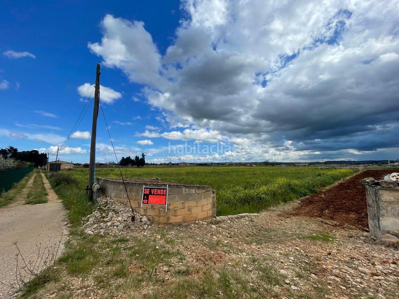 Foto 58d3a129-6c94-4669-b466-1c753927e500. Terreno residencial se vende finca edificable en Sa Pobla