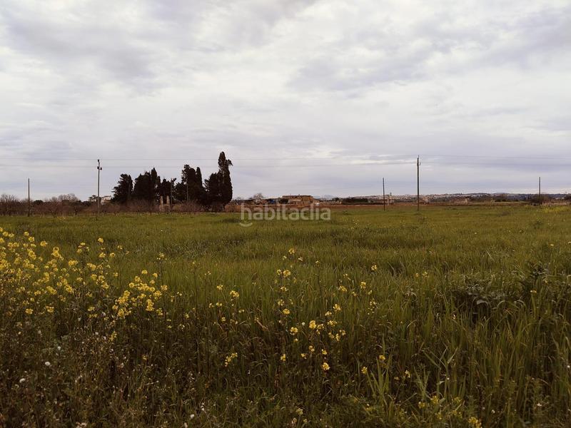 Foto 735a5aec-84d6-4055-9e46-be6c54a36338. Terreno residencial se vende finca edificable en Sa Pobla