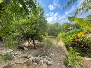 Mas à Campanet. Gran casa con jardín en campanet