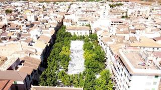 Edifici a Sa Pobla. Oportunidad de inversión cesión de crédito garantizado con edifi