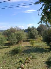 Finca rústica a Santa Eugènia. Se vende terreno rústico en santa eugénia