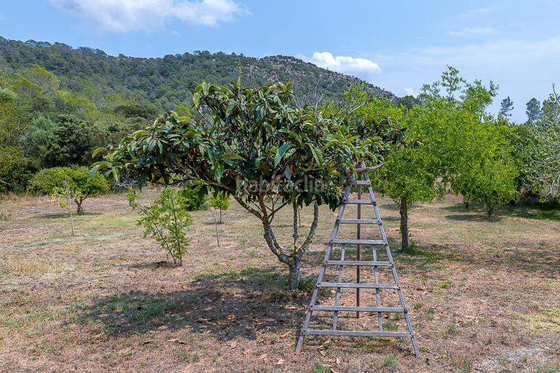Foto 5cf00ae6-6ebf-4fbf-85d7-b202307304e3. Chalet with parking pool in Centro Inca