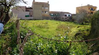 Residential Plot in Lloseta. A la venta solar edificable en lloseta, comarca de es raiguer