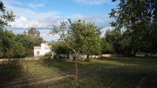 Casa a Binissalem. Casa decampo en venta en binissalem