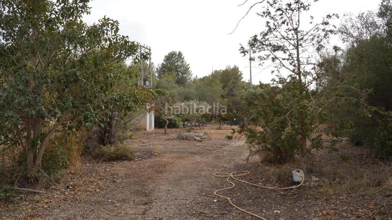 Foto 1f84ce97-1e78-4bc3-b65b-64410d67bae7. Affitto casa in Calvià poble Calvià