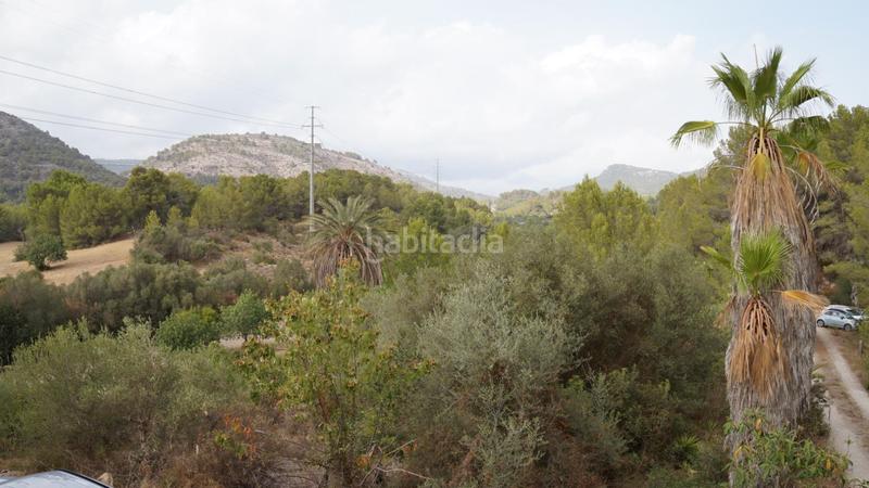 Foto f2524742-d3e0-424e-b24e-ac32f94bfb8e. Affitto casa in Calvià poble Calvià