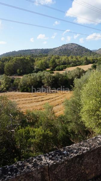 Foto 340cfd81-224e-4ec4-a739-880ed66a25c8. Lloguer casa a Calvià poble Calvià