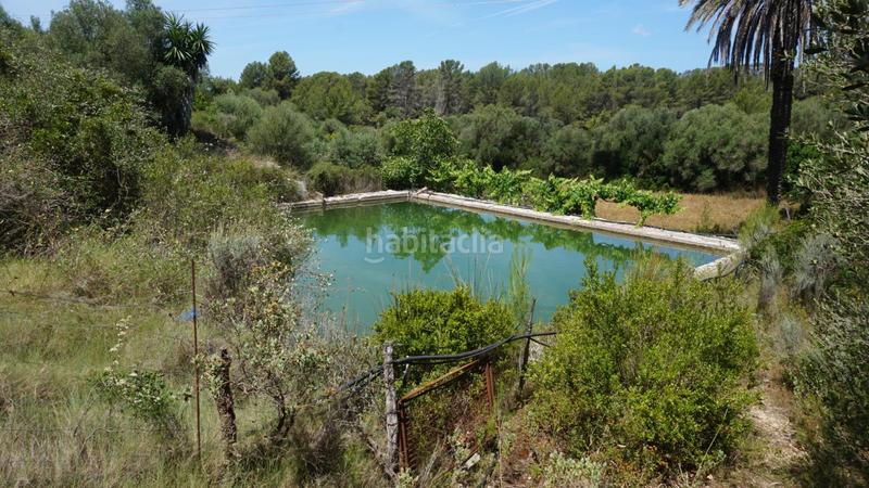 Foto 065715ac-68dd-419a-a348-dbe1d885424d. Rent house in Calvià poble Calvià