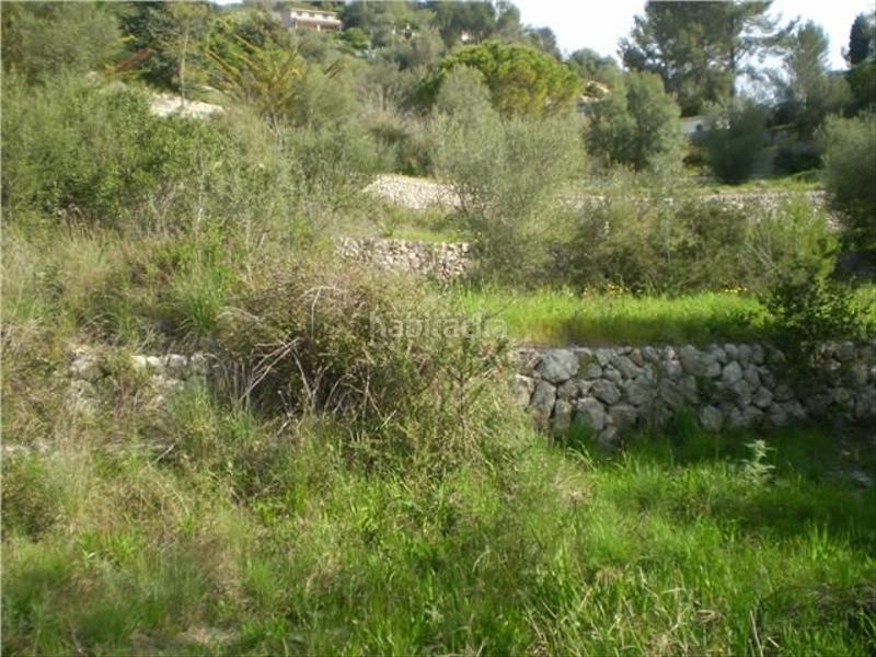 Foto 59c78128-dff0-43da-a558-4f9644aa940a. Wohngrundstück in Puigpunyent