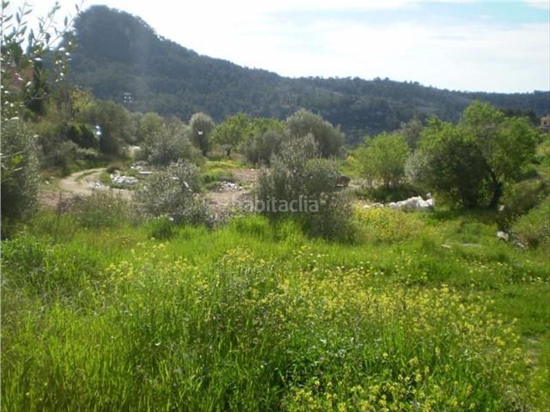 Foto 760af684-30c4-450b-9a08-11eb0b374d82. Wohngrundstück in Puigpunyent
