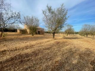 Wohngrundstück in Sencelles. Se vende finca con terreno edificable en so na rosa, sencelles