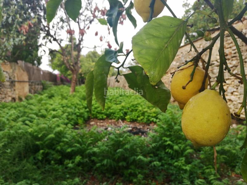 Foto 5e928ac9-89ab-4009-9644-092ed9efeb23. Terreno residencial solar edificable a la venta en Sencelles