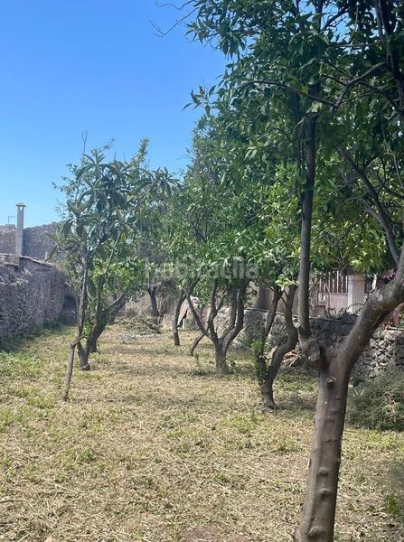 Foto cba40aad-4398-4230-89b6-ca77146dcb52. Terreno residencial solar edificable a la venta en Sencelles