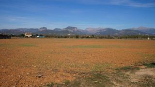 Finca rústica a Binissalem. Se venda finca con caseta en terreno urbanizable, en binissalem