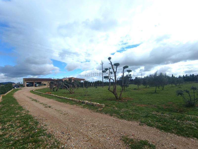 Foto 02111452-2900-458d-85de-39431c69de12. Chalet avec parking piscine dans Binissalem
