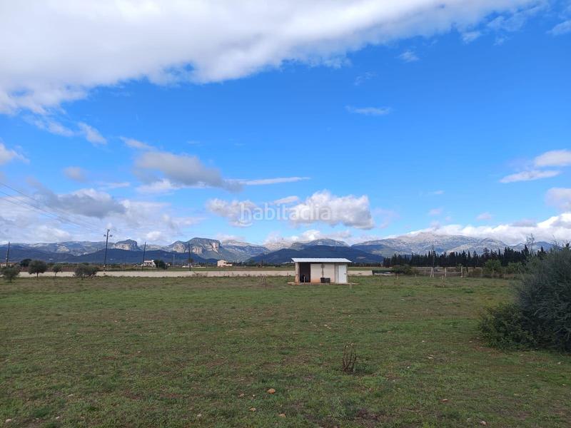 Foto 208eebd6-0346-46eb-9da6-864950582a6f. Chalet avec parking piscine dans Binissalem