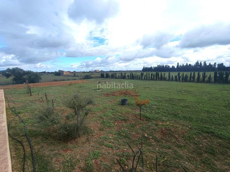 Foto bb14ef04-614f-44a0-9982-eea7ed52045d. Chalet avec parking piscine dans Binissalem