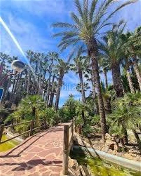 Foto c3c6cbdd-43b0-4817-b9a9-2b4b8f95f660. Piso oportunidad de inversión alicante en Albatera