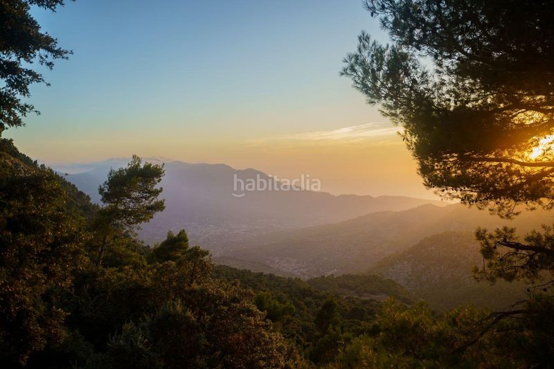 Foto 03dd9ed0-6565-4b04-835d-a36474d0bcf5. Terreny residencial a Mancor de la Vall