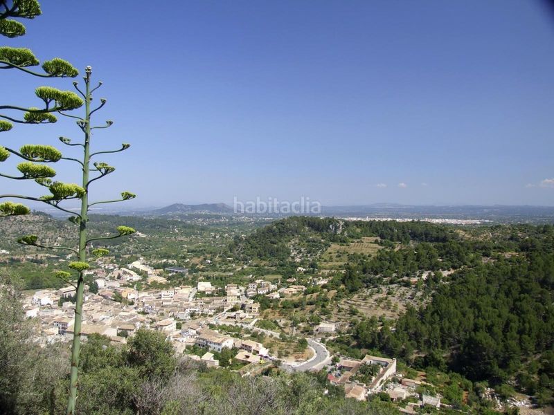Foto fd2453ac-9e13-4992-8398-6ddb840d73c3. Terreny residencial a Mancor de la Vall