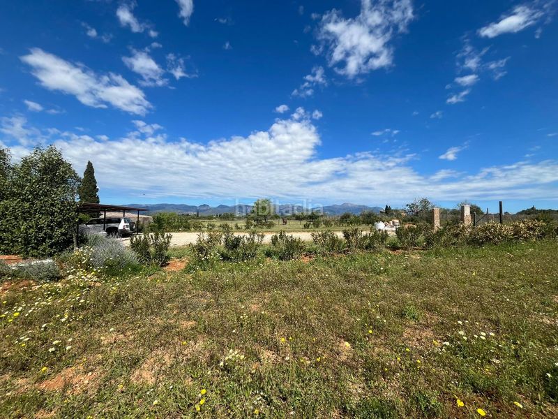 Foto 057a45bc-a556-4358-a7ba-55c116e47ab0. Terreny residencial a Sencelles