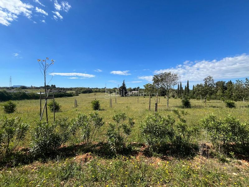 Foto 40dd3f51-37c7-46cc-8a46-680ce54ce588. Terreny residencial a Sencelles