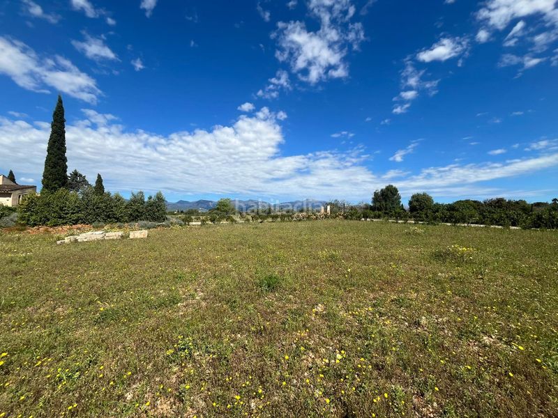 Foto a2617f4b-472c-4cc3-8746-c512fb6d4014. Terreny residencial a Sencelles