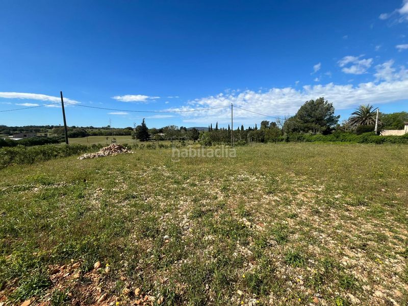 Foto a595eceb-58e0-4303-9ddd-c1356a01db75. Terreny residencial a Sencelles