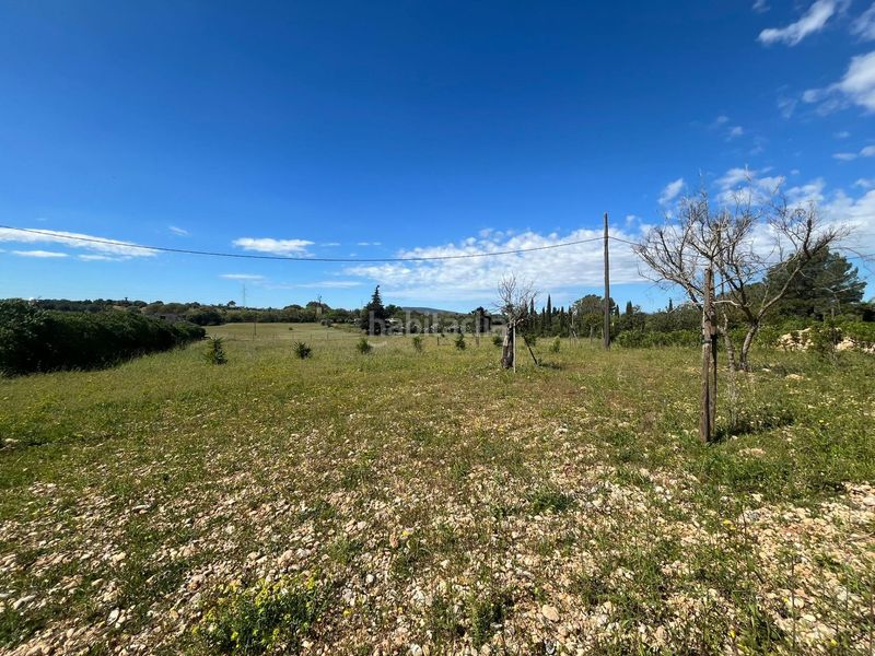 Foto bfb1d311-f8b6-4add-9b56-dbc3738be601. Terreny residencial a Sencelles