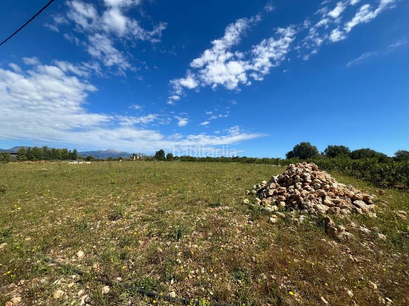 Foto ff58cce4-6166-4192-9ee9-f6d81e0d2047. Terreny residencial a Sencelles