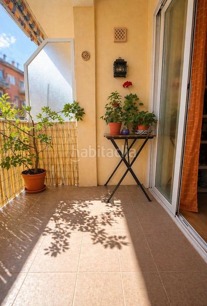 Foto 3055992a-9be5-4adb-91e2-40c446b4c03d. Pis a Mare de Déu de Lluc Palma de Mallorca