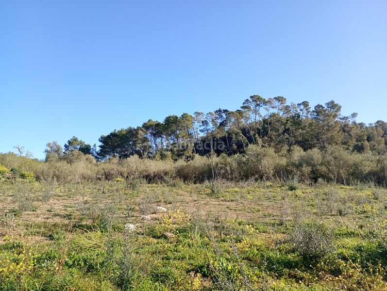 Foto cb445d32-e4eb-4144-af43-f0e4af8218bb. Finca rústica terreno rústico edificable de 21.240 m2 en Costitx