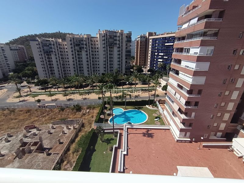 Foto 930accdf-b256-4d3d-939f-a28f9882f36f. Àtic amb aparcament piscina a Alitana-Casablanca Vila Joiosa (la)