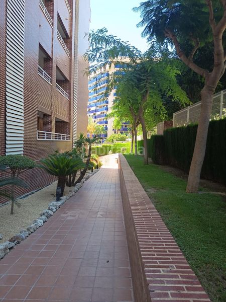 Foto a2d01a39-f560-4722-be15-a90c09e4b24c. Àtic amb aparcament piscina a Alitana-Casablanca Vila Joiosa (la)