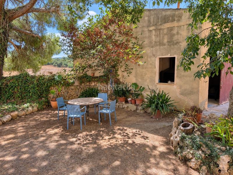 Foto 09b56a4d-4453-47f6-8163-4f216194d80b. Location maison avec parking dans Petra